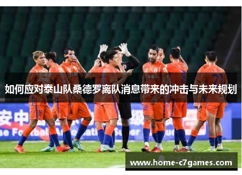 如何应对泰山队桑德罗离队消息带来的冲击与未来规划